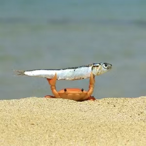 奶蛙